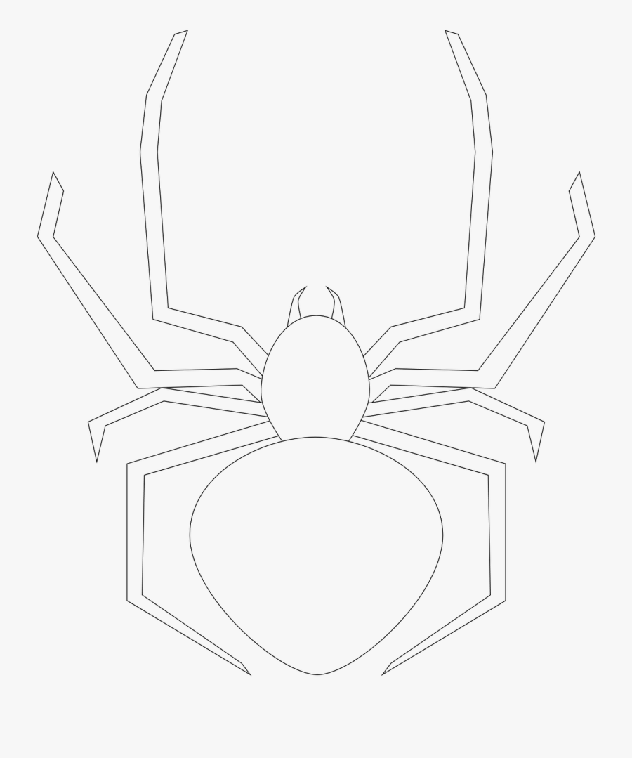 Insect, Transparent Clipart