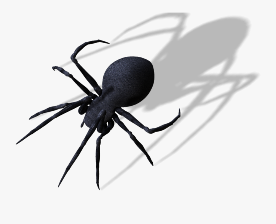 #spider #goth #black #freetoedit #edit #remix #remixit - Spider Png Clipart, Transparent Clipart