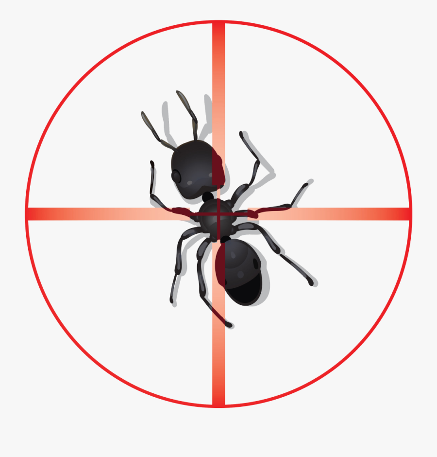 Pest Background, Transparent Clipart