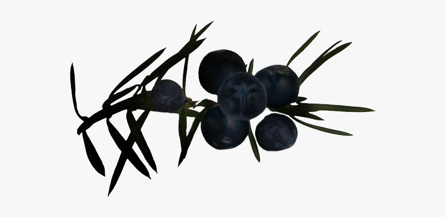 Black Widow, Transparent Clipart