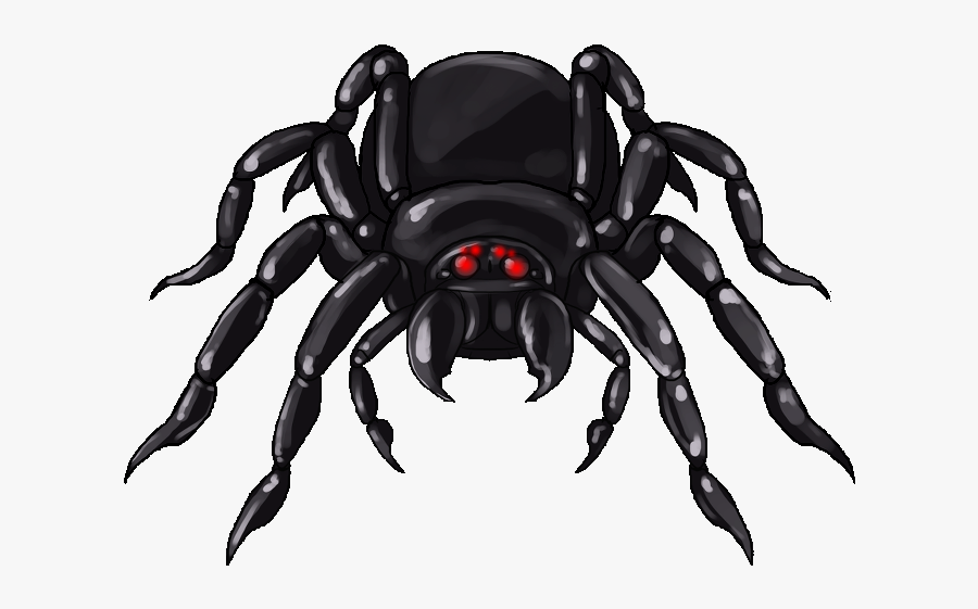Giant Spider Png, Transparent Clipart