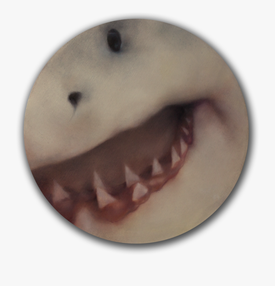 Great White Shark, Transparent Clipart