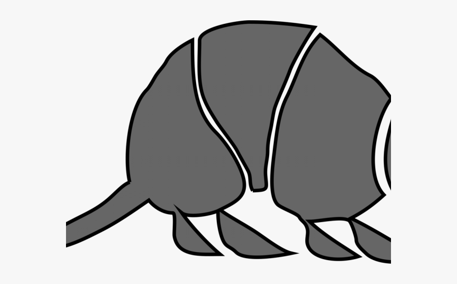 Armadillo Clipart - Armadillos, Transparent Clipart