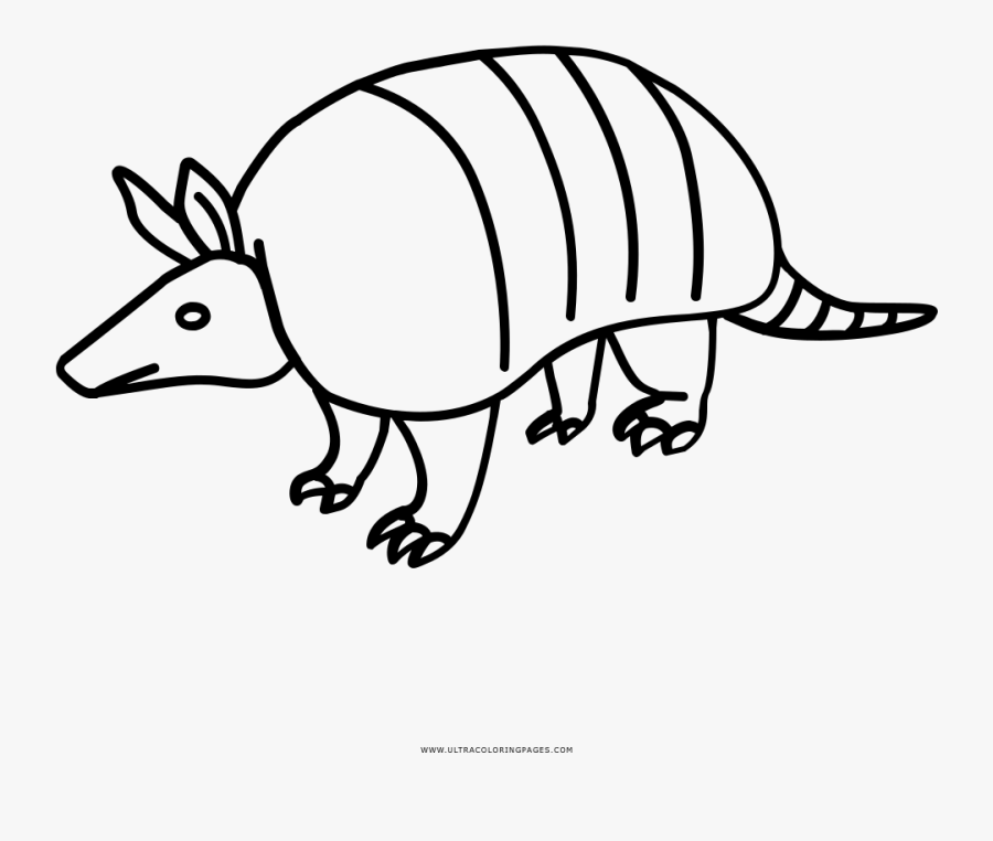 Armadillo Outline Coloring Page - 213 2137926 Armadillo Coloring Page Archaicawful Free Printable Imagenes De 