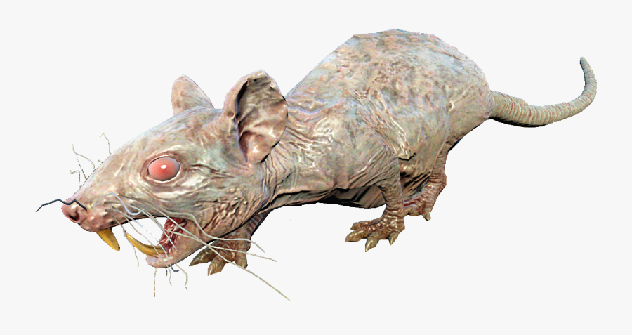 Fo4nw Rad-rat - Fallout 4 Rad Rat, Transparent Clipart