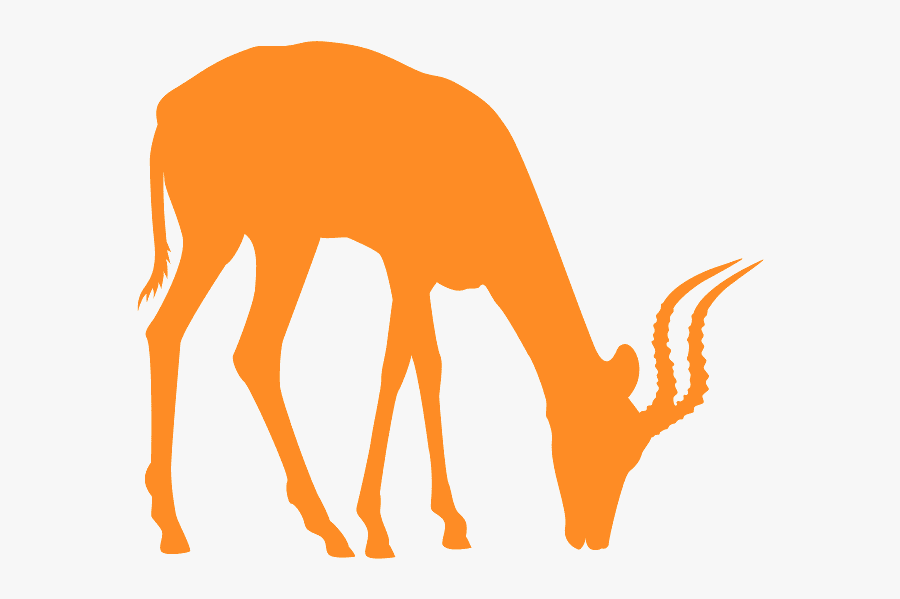 African Animals Silhouette Antelope, Transparent Clipart
