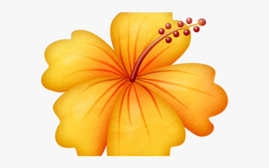 Orange Hawaiian Flower Clipart, Transparent Clipart