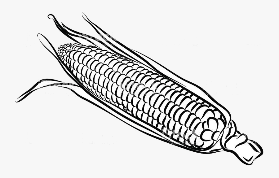 Corn Clipart Easy Draw Transparent Clip Arts And Png - Sweet Corn Line Art, Transparent Clipart