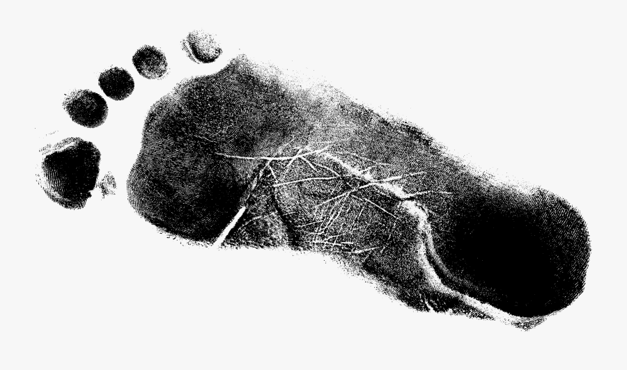 Drawing Footprints Watercolor - Footprint, Transparent Clipart