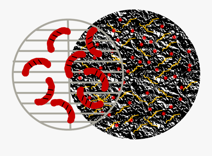 Graphic Design, Transparent Clipart