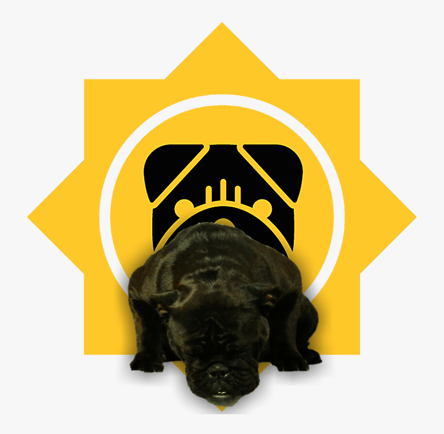 Picture - American Bulldog, Transparent Clipart