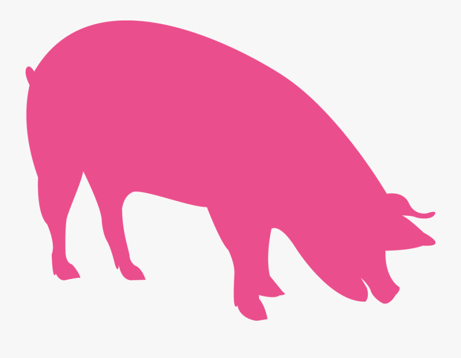 Vigorous Piglets And Finishers - Feed Pig Icon, Transparent Clipart