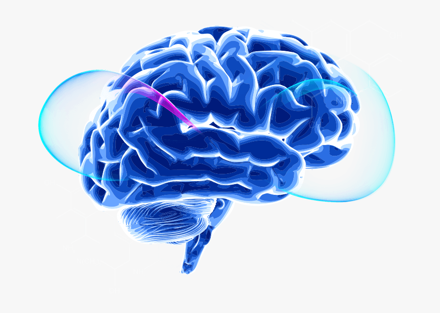 Transparent Brain Transparent Png - Stages Of Alzheimers, Transparent Clipart