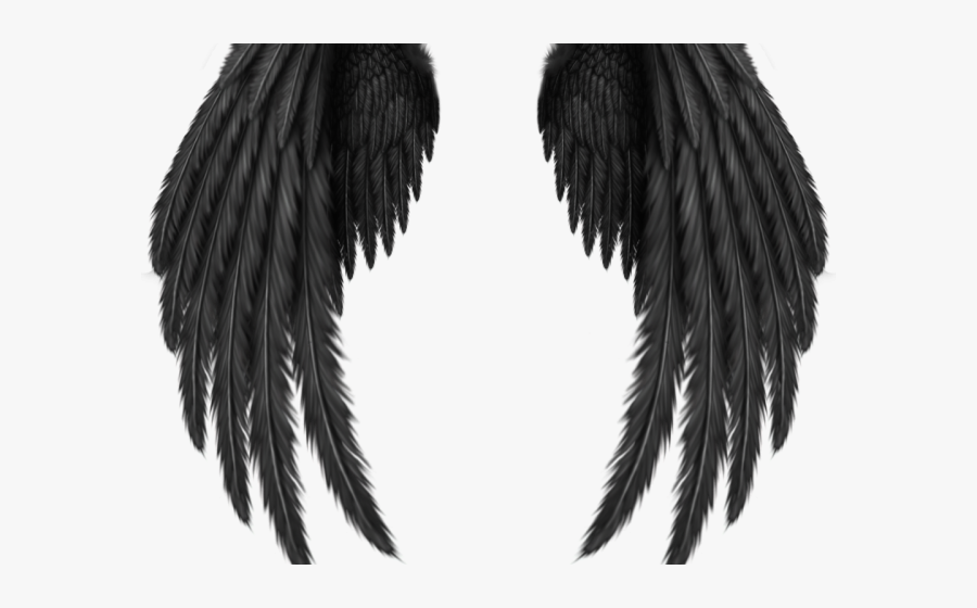 Picsart Wings, Transparent Clipart