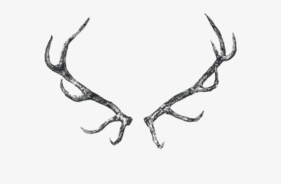 Antler Clipart Transparent Tumblr - Bois De Cerf Tatouage, Transparent Clipart