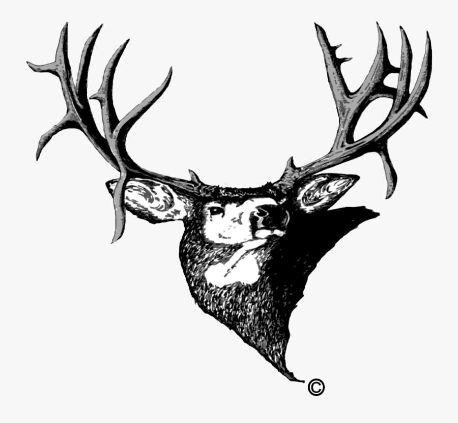 Mule Deer Antlers Silhouette Png - Muley Fanatic Foundation , Free Transpar...