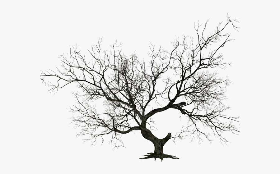 Gate Clipart Graveyard Gate - Dead Tree Silhouette Png, Transparent Clipart