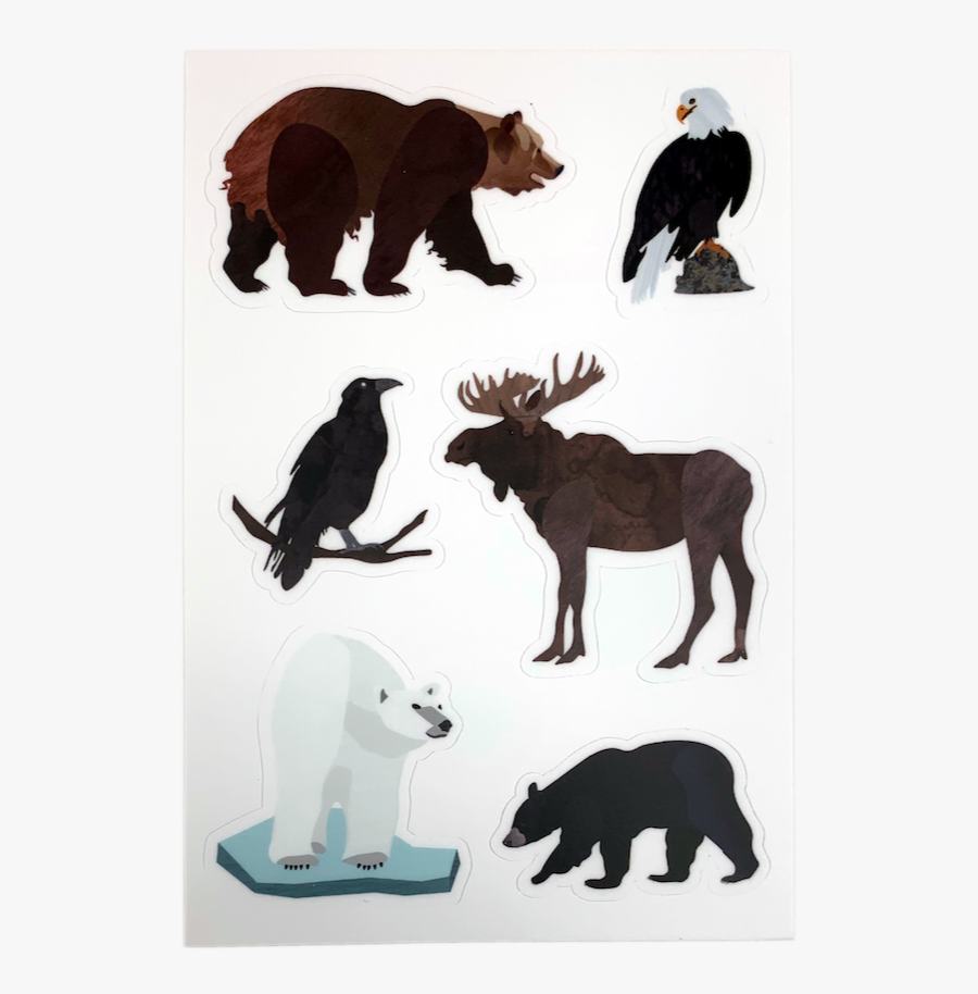 Grizzly Bear, Transparent Clipart