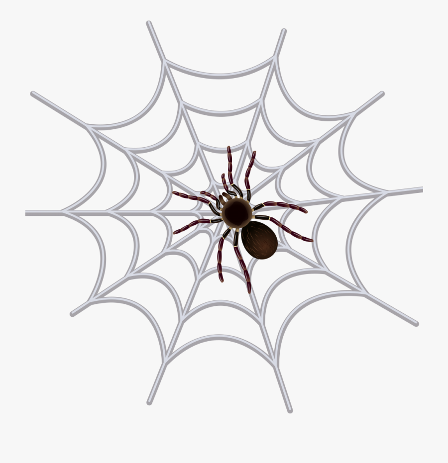 Transparent Png Spider Web Clipart , Png Download - Spider Web Images Black And White, Transparent Clipart