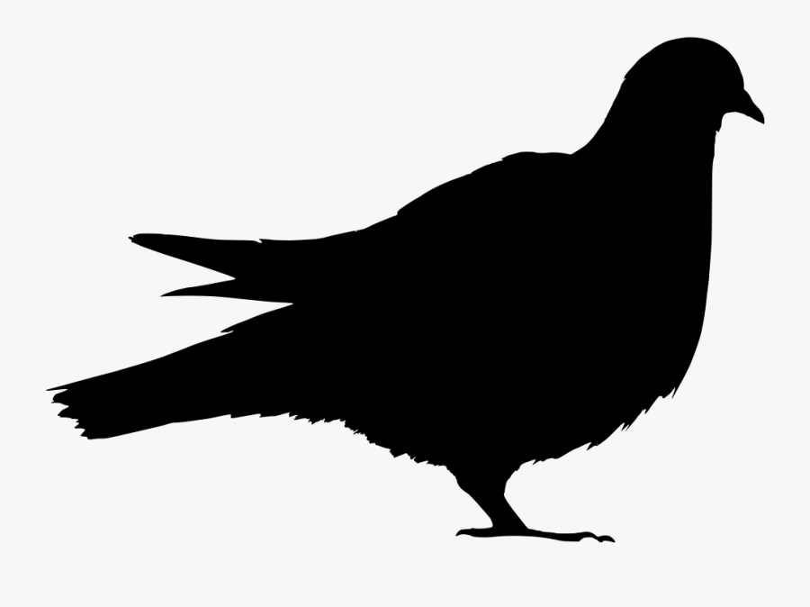 Ionic Zoo Pigeon Restful Provider Gitlab - Silhouette Of A Pigeon, Transparent Clipart