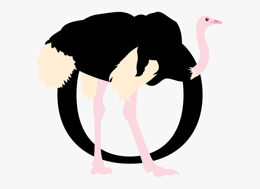 Ostrich Clipart Г±andu - Illustration, Transparent Clipart