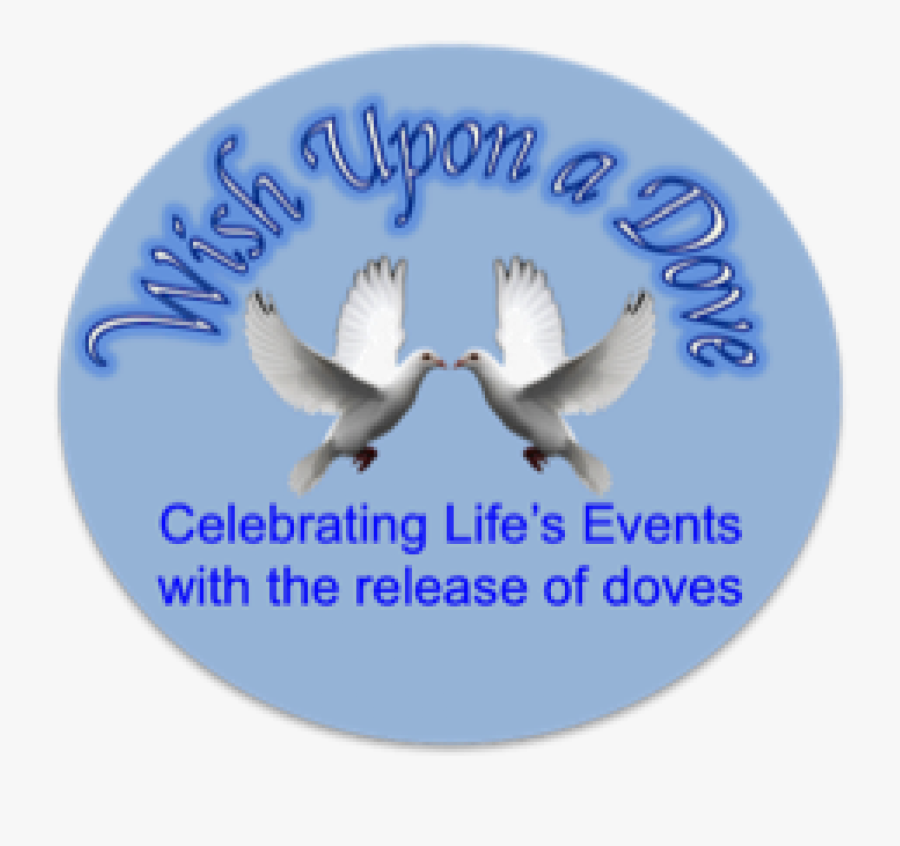 Wish Upon A Dove - Dove In Flight, Transparent Clipart