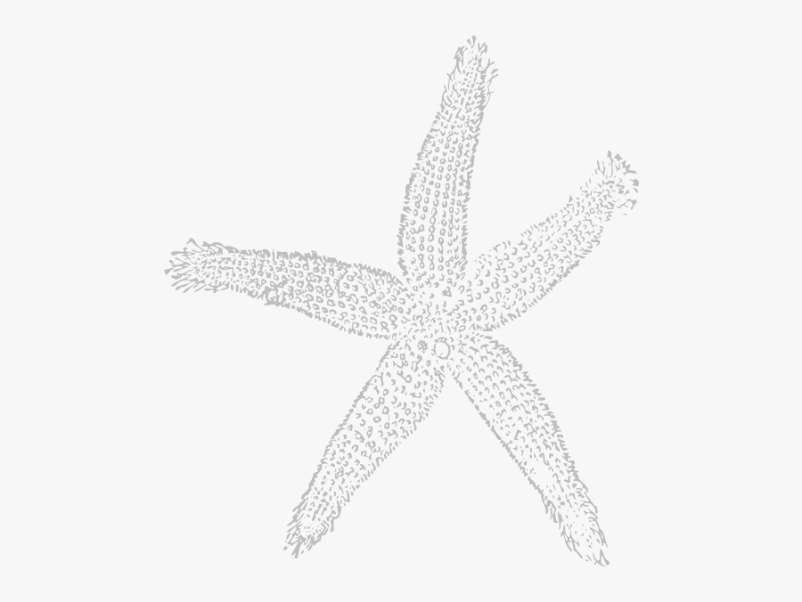 Blue Sea Shell Clip Art, Transparent Clipart