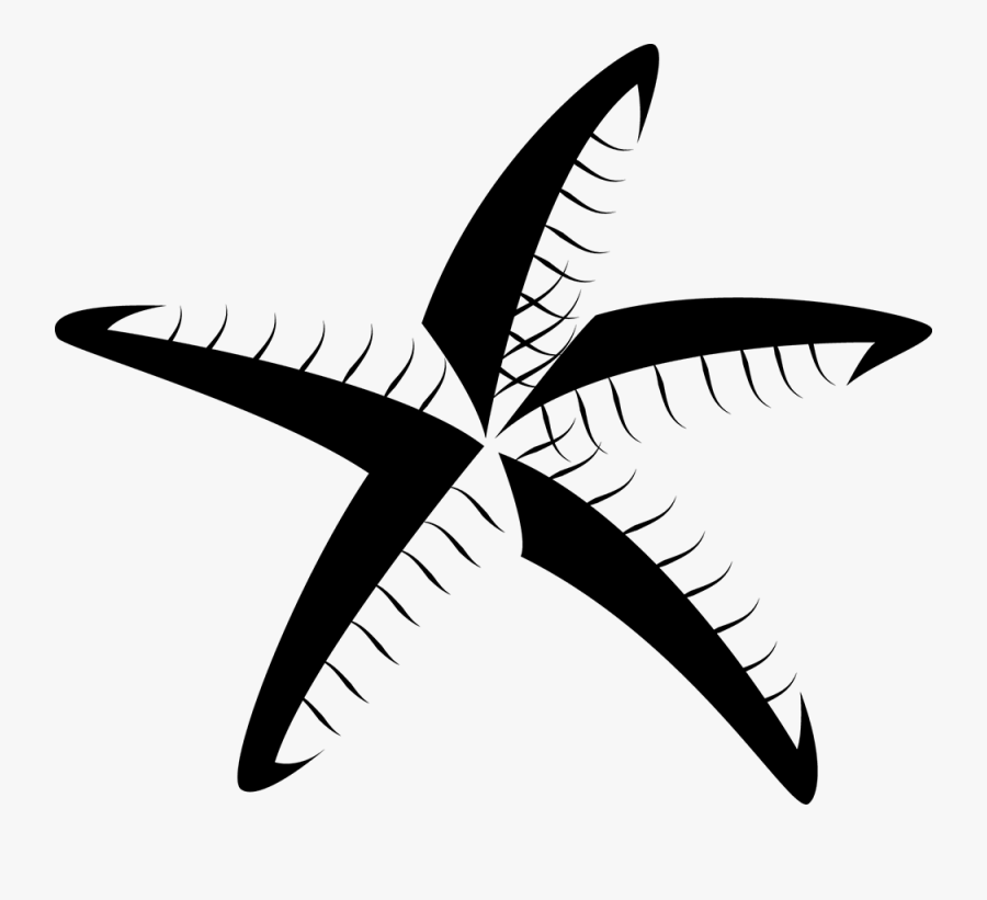 Starfish Textiles, Transparent Clipart