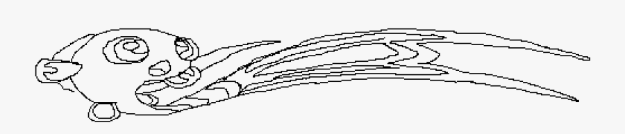 Drawing Starfish Basic - Sketch, Transparent Clipart