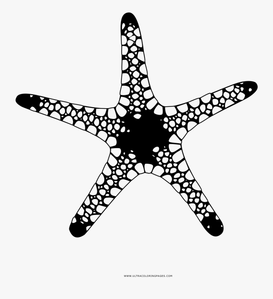 Starfish Coloring Page - Starfish, Transparent Clipart