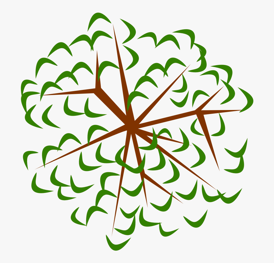 Tree-12e - Tree Clipart From Above, Transparent Clipart