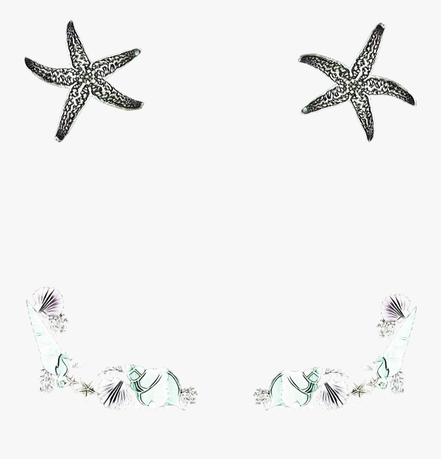 #seashell #seashells #cones #starfish #aquatic #ocean - Starfish, Transparent Clipart