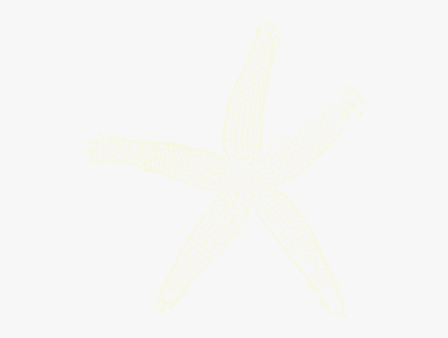 Starfish White Png, Transparent Clipart