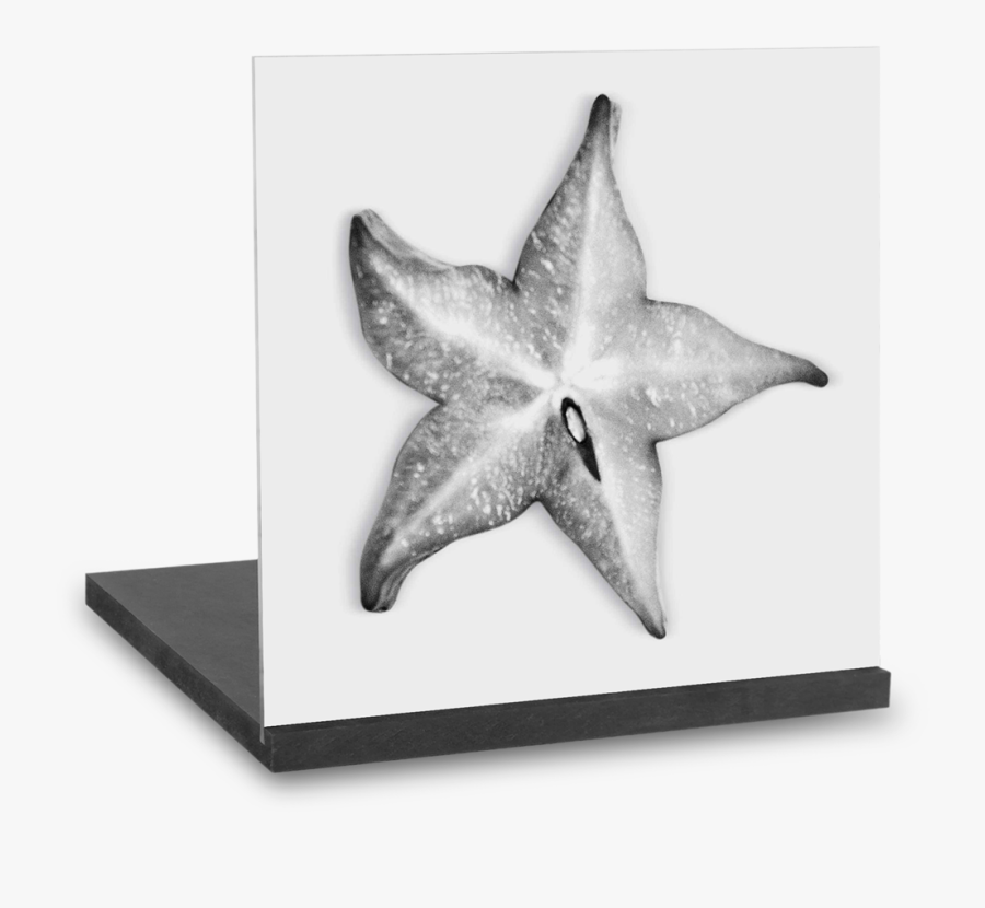 Starfish, Transparent Clipart