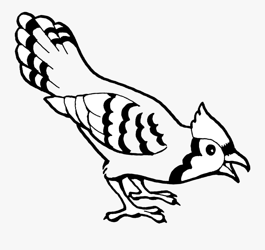 Blue Jay Black And White Transparent Png - Bird Coloring Pages, Transparent Clipart