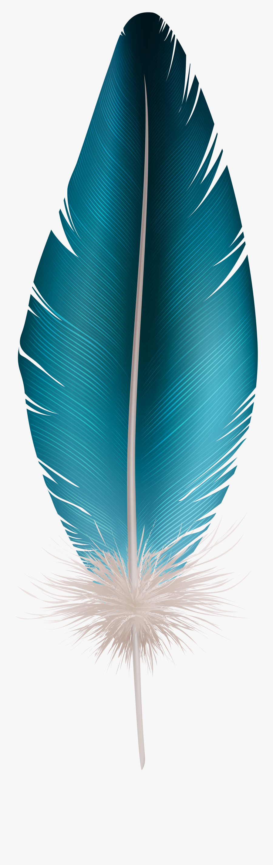 Transparent Background Feather Clipart, Transparent Clipart