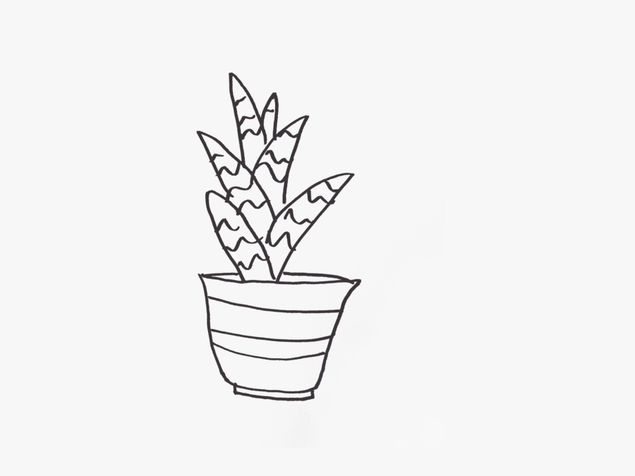 Flowerpot, Transparent Clipart