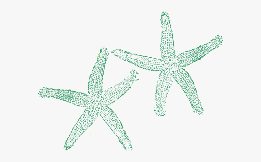 Green Clipart Starfish - Turquoise Starfish Clipart, Transparent Clipart