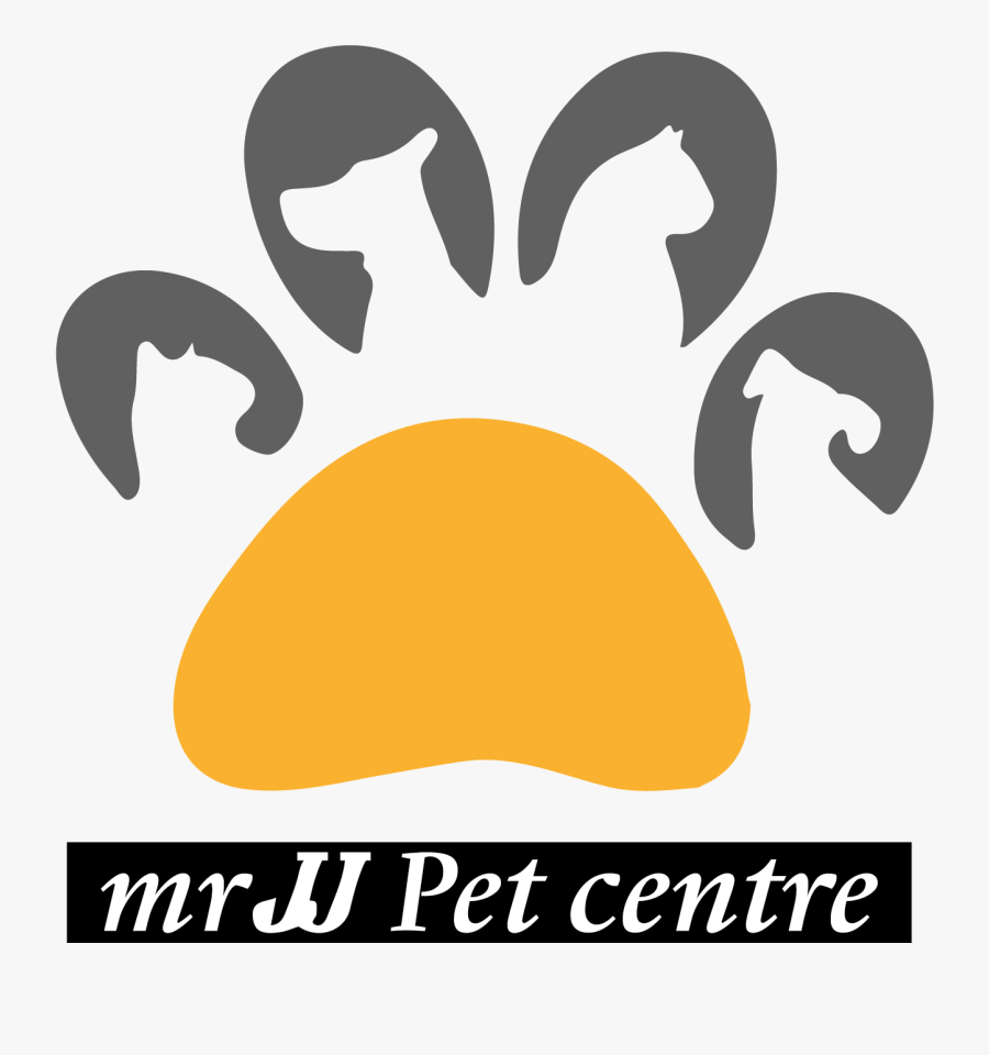 Pomeranian Teacup, Transparent Clipart