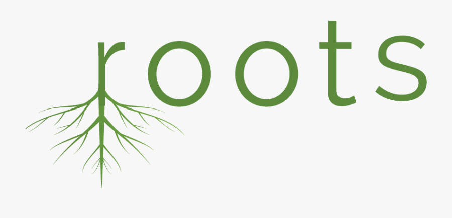 Circle, Transparent Clipart