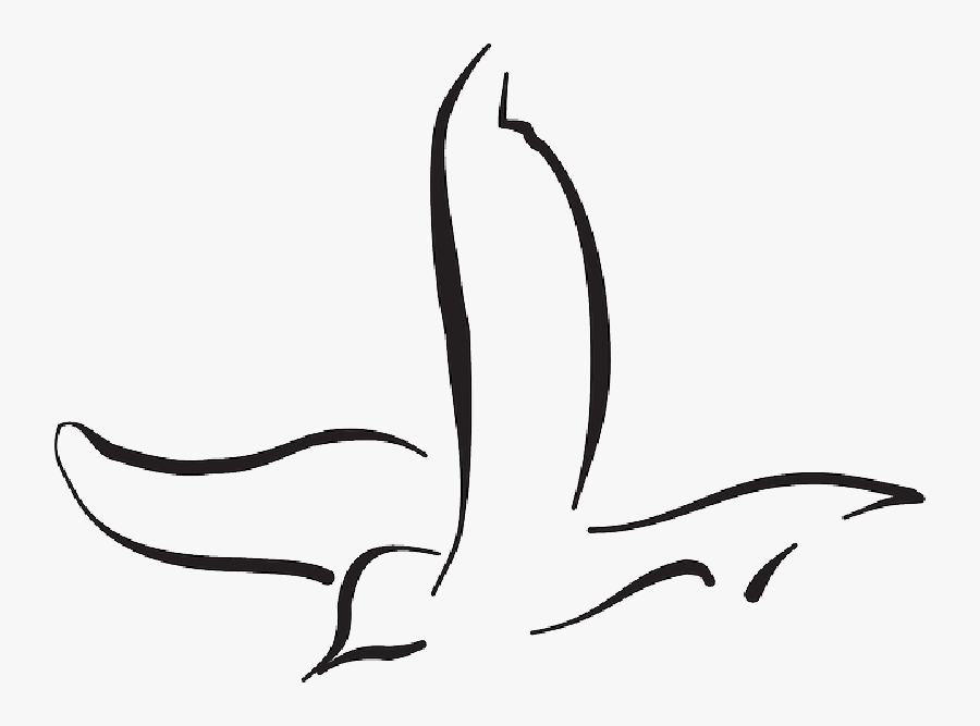 Outline, Bird, Flying, Curves, Lines, Wings, Art, Line - Line Art Flying Birds, Transparent Clipart