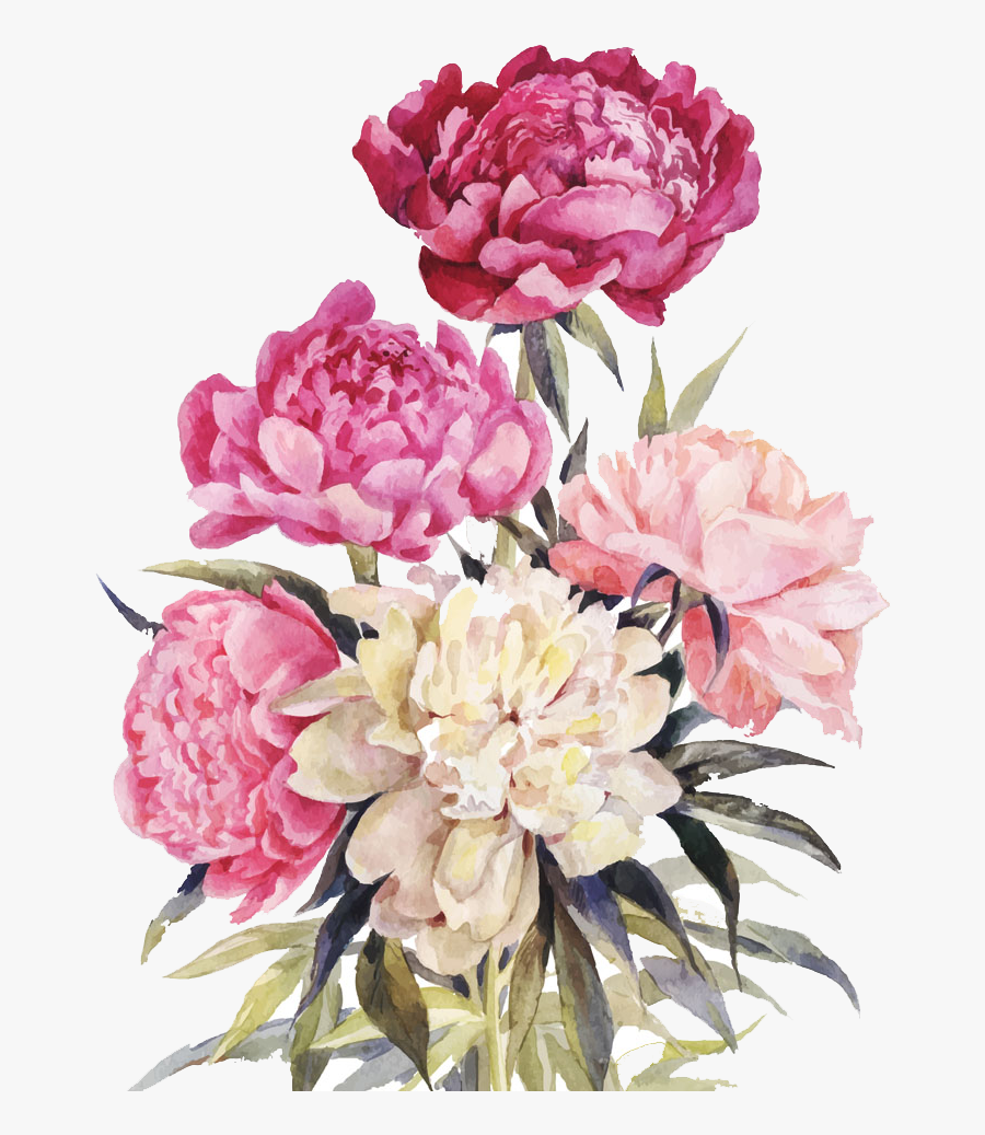 Watercolor Peony Floral Clipart Wedding Flowers Clipart Etsy | My XXX ...