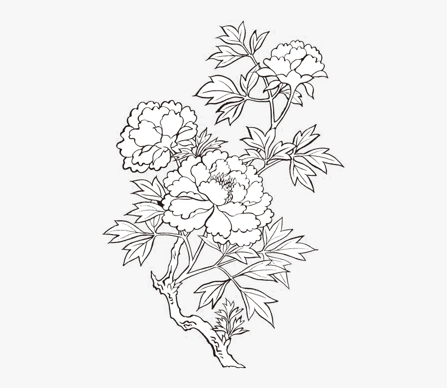 Flower Painting Vector Printing - Peony Drawing Transparent, Transparent Clipart