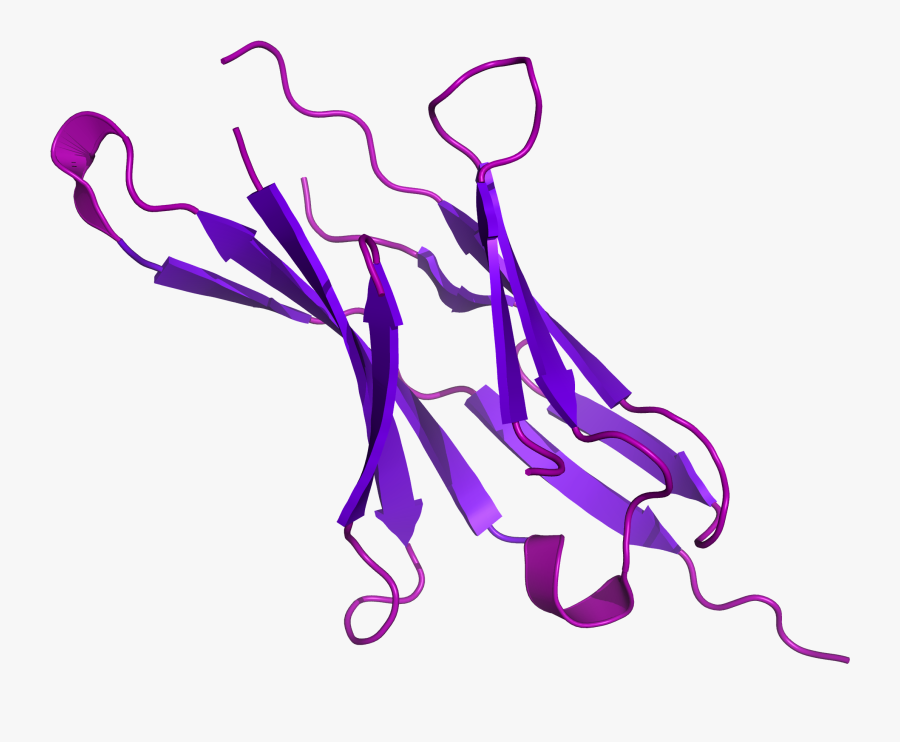 Cancer Vector Lupus Ribbon - Programmed Cell Death Protein 1 Pd 1, Transparent Clipart