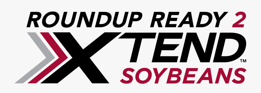 Roundup Ready 2 Soybean, Transparent Clipart
