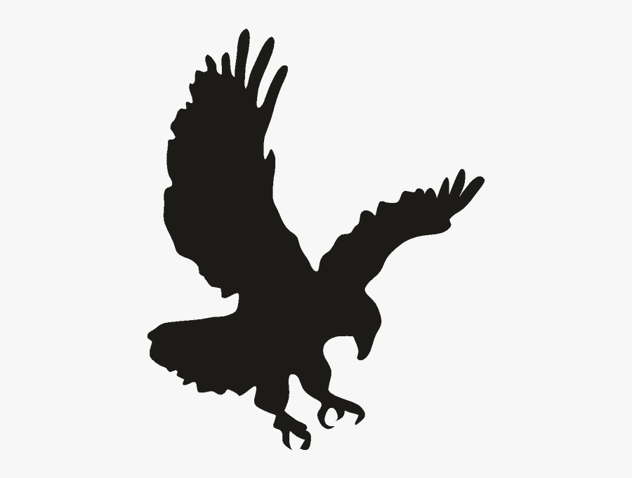 Bald Eagle Drawing Clip Art - Clip Art, Transparent Clipart