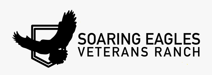 Eagle, Transparent Clipart