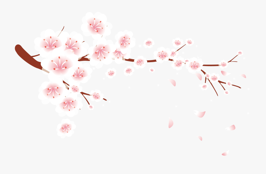Petal, Blossom, Plum Blossom, Pink, Flower Png Image - Cherry Blossom Plum Blossom Flower, Transparent Clipart