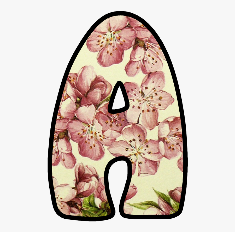 Cherry, Transparent Clipart