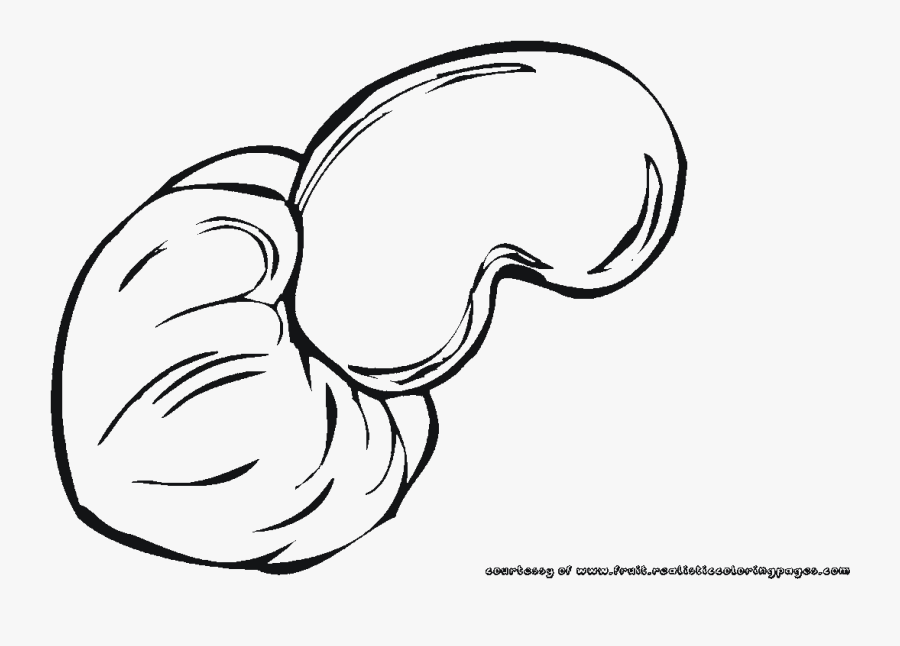 Cashew Coloring Pages Printable - Cashew Clipart Black And White T, Transparent Clipart